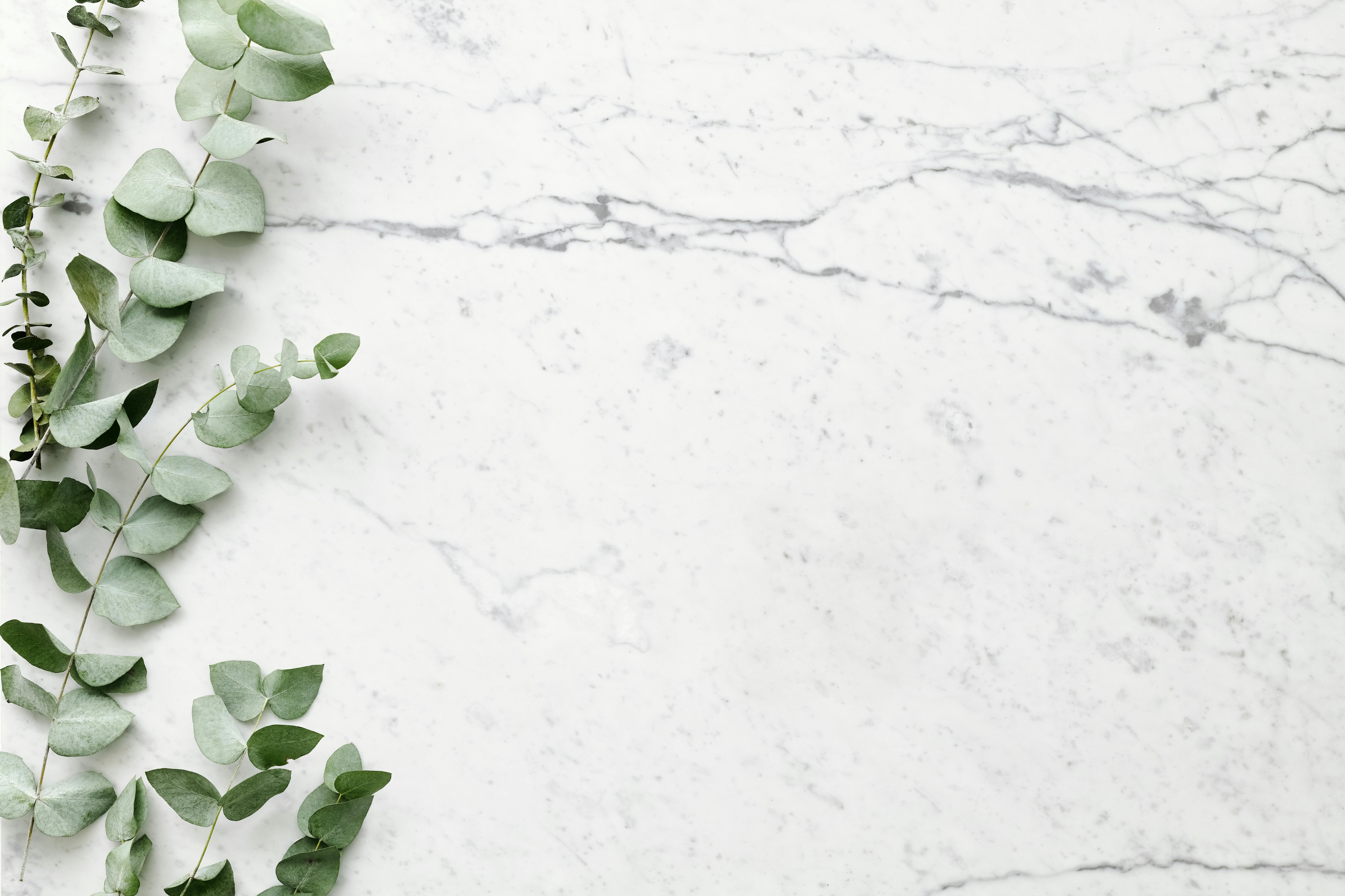 Elegant marble background with eucalyptus - premium real estate service