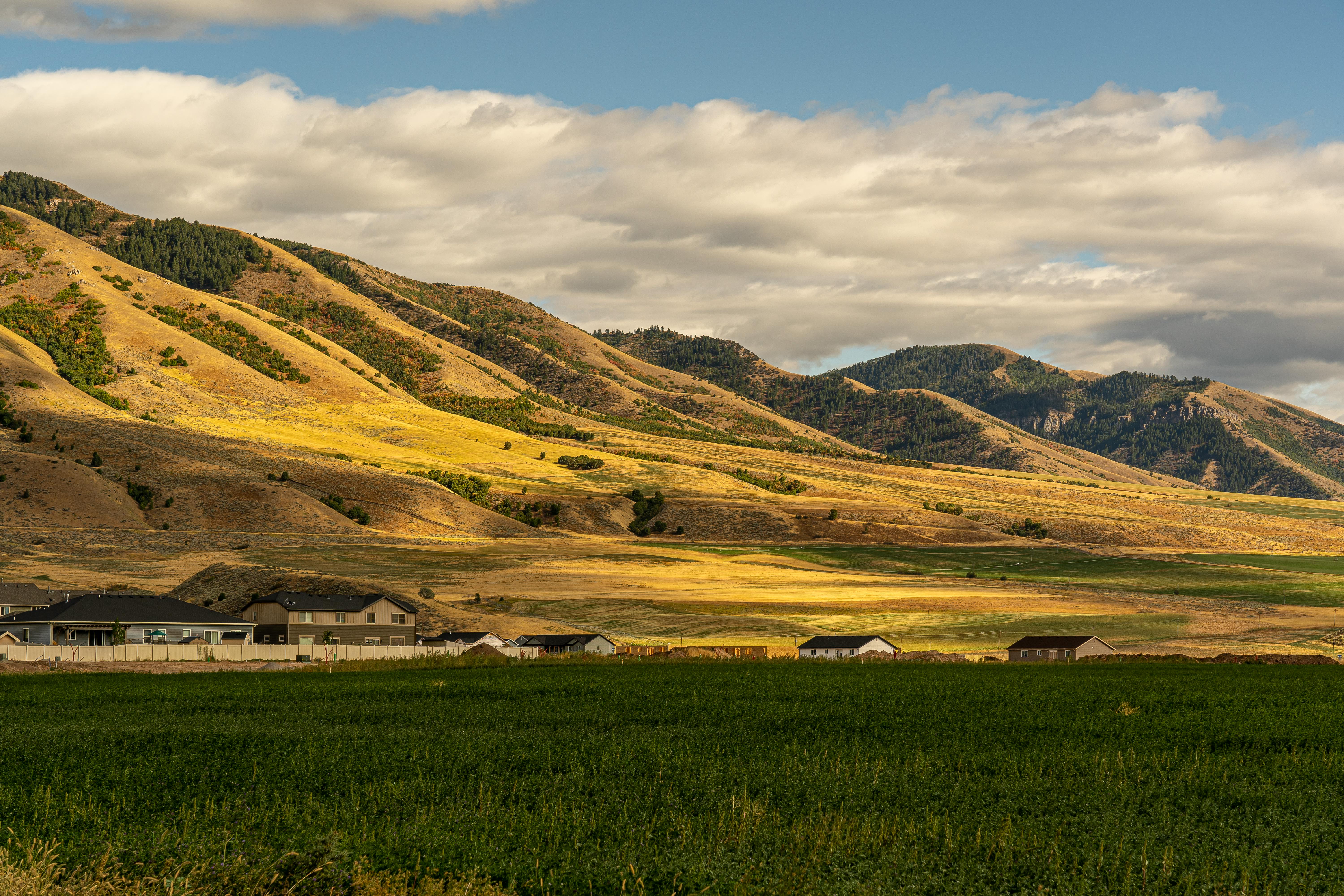 Beautiful landscape with rolling hills and farmland